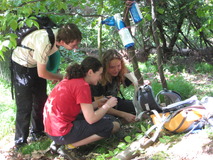 náhledova fotka ze hry Dnem...2009