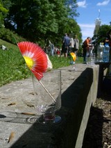 náhledova fotka ze hry Dnem...2009