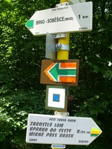 náhledova fotka ze hry Dnem...2009